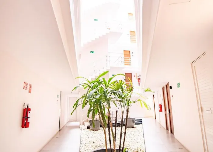 Partial Ocean View Cozumel Gym Fastwifi Cine Apartament